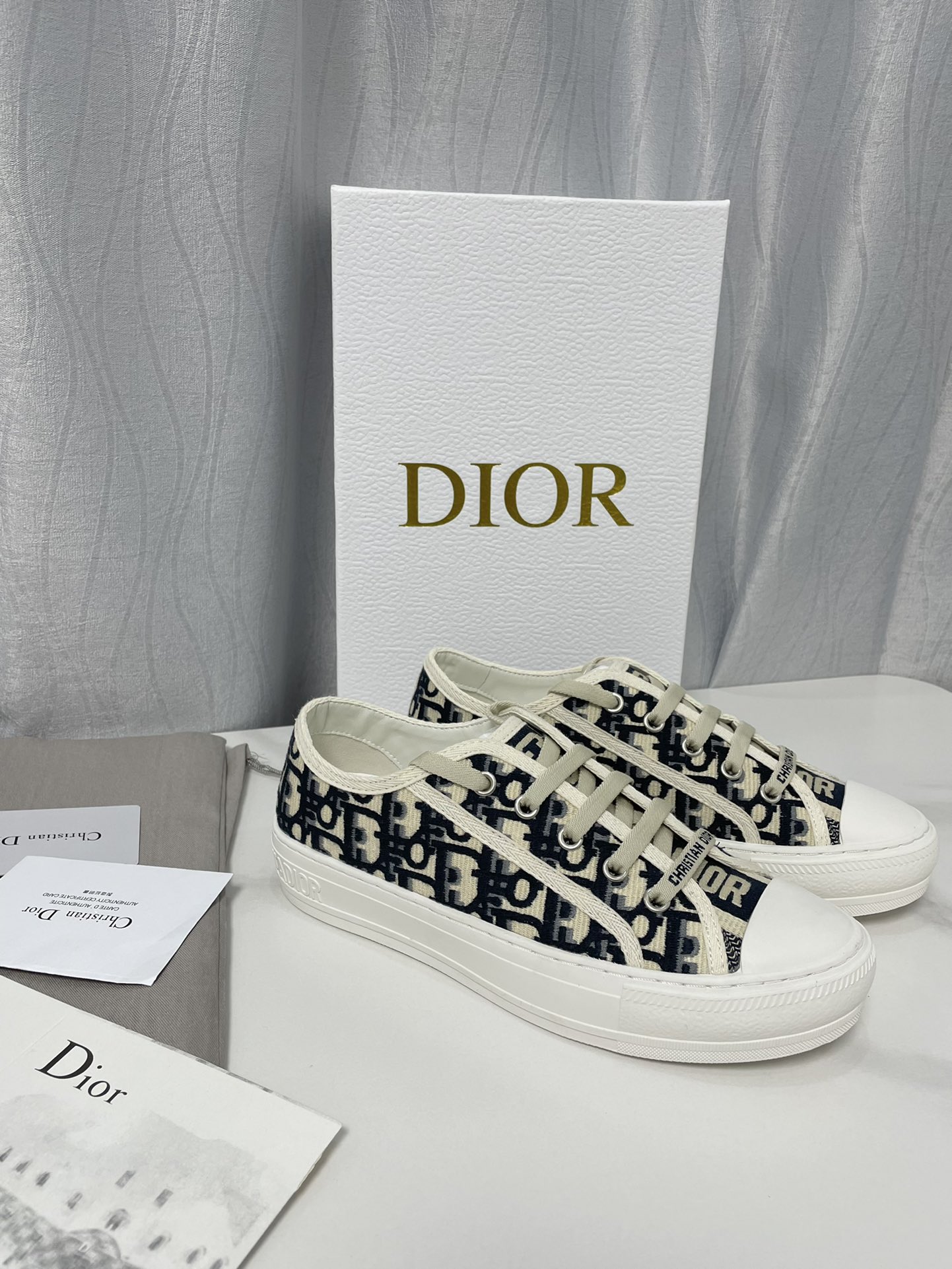DIOR embroidered canvas shoes sneakers flat casual shoes